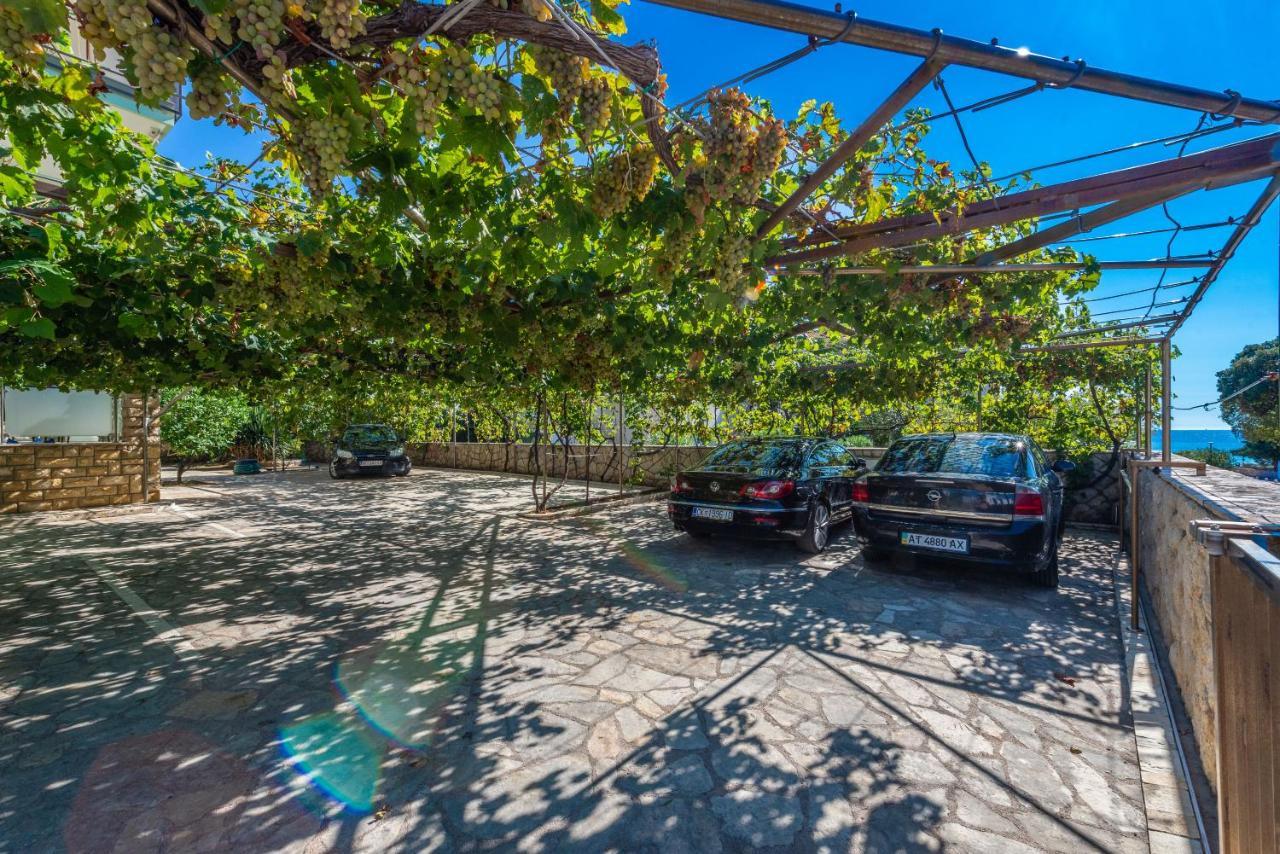 Apartament Apolonia *